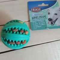 3880220932_trixie-myach-denta